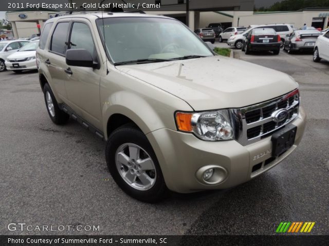 2011 Ford Escape XLT in Gold Leaf Metallic