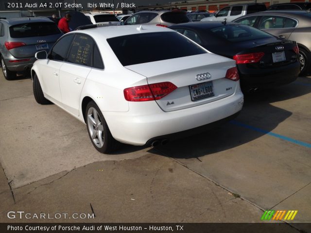 2011 Audi A4 2.0T Sedan in Ibis White