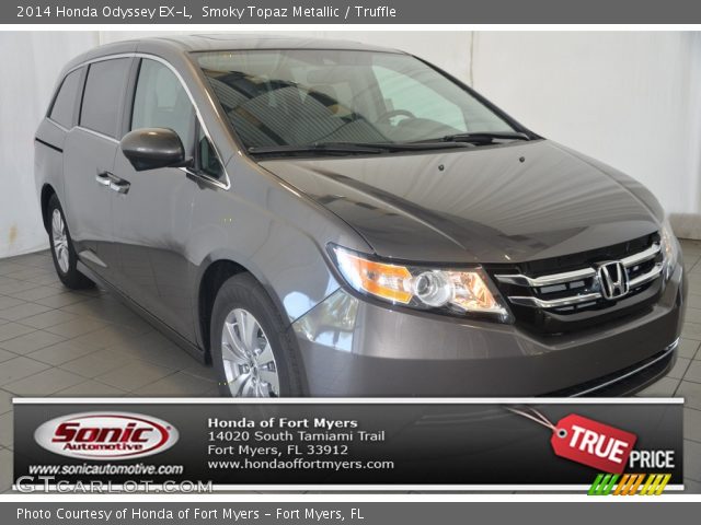 2014 Honda Odyssey EX-L in Smoky Topaz Metallic