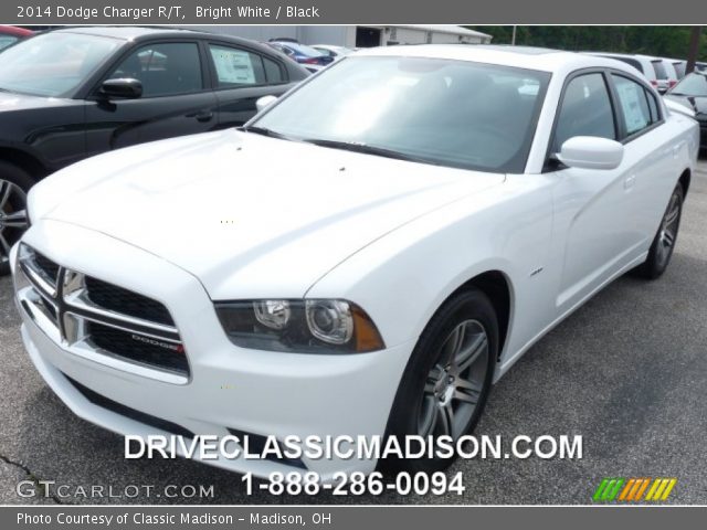 2014 Dodge Charger R/T in Bright White