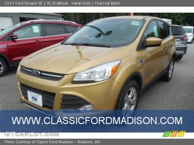 2014 Ford Escape SE 1.6L EcoBoost in Karat Gold