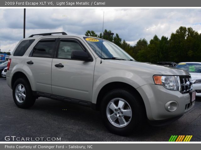 2009 Ford Escape XLT V6 in Light Sage Metallic