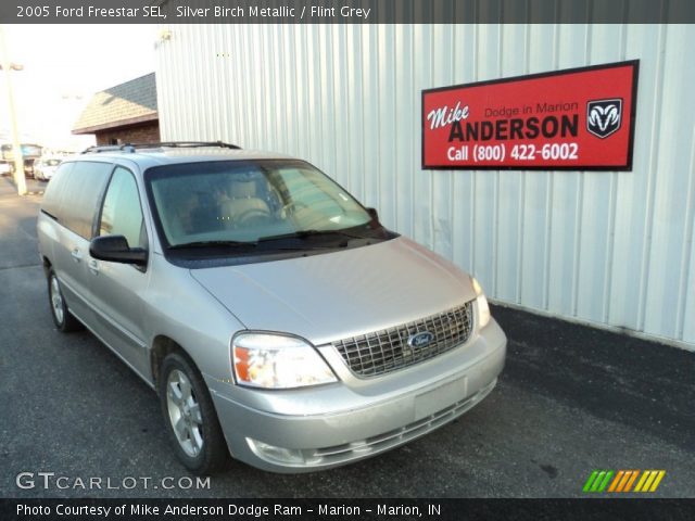 2005 Ford Freestar SEL in Silver Birch Metallic