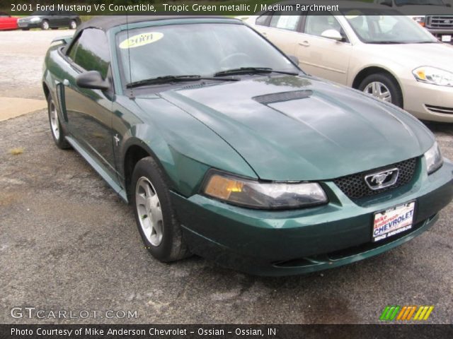 2001 Ford Mustang V6 Convertible in Tropic Green metallic