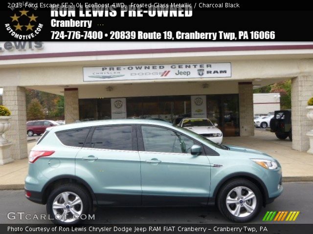2013 Ford Escape SE 2.0L EcoBoost 4WD in Frosted Glass Metallic