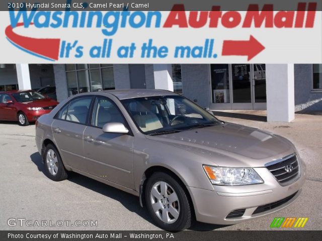 2010 Hyundai Sonata GLS in Camel Pearl