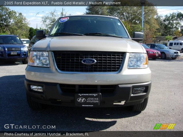 2005 Ford Expedition XLT in Pueblo Gold Metallic