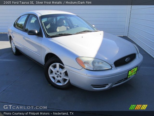 2005 Ford Taurus SE in Silver Frost Metallic