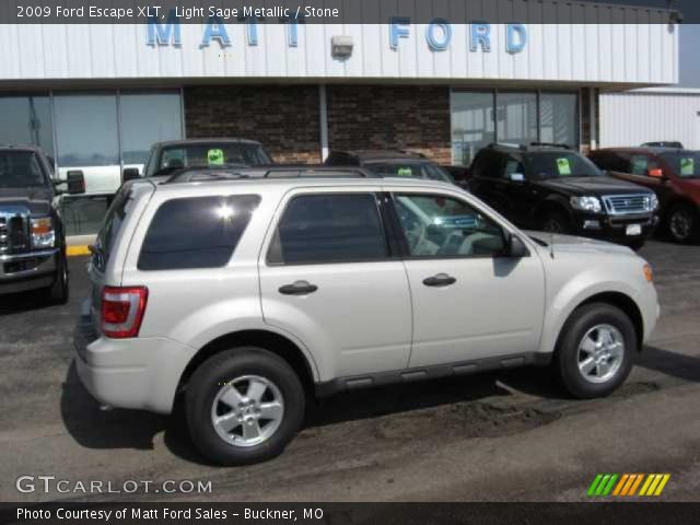 2009 Ford Escape XLT in Light Sage Metallic