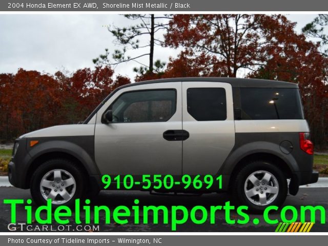 2004 Honda Element EX AWD in Shoreline Mist Metallic