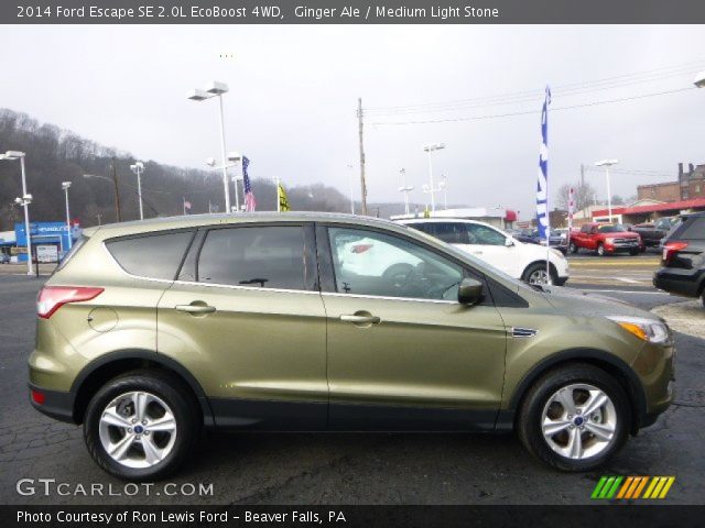 2014 Ford Escape SE 2.0L EcoBoost 4WD in Ginger Ale