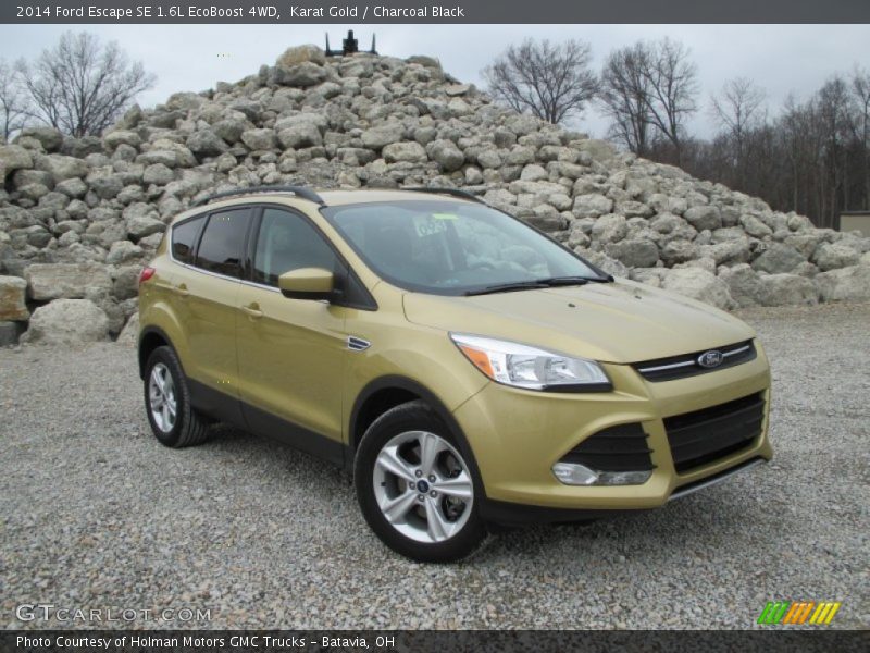 Front 3/4 View of 2014 Escape SE 1.6L EcoBoost 4WD