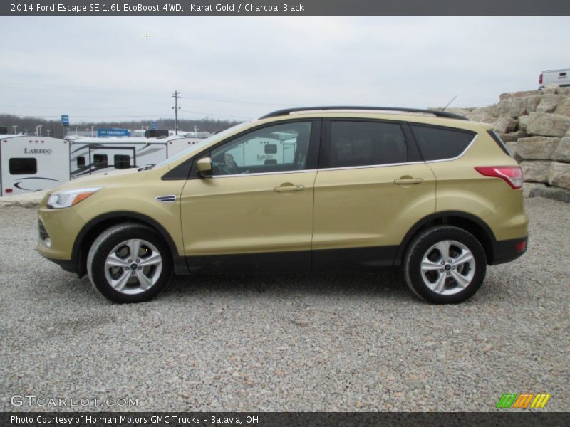 Karat Gold / Charcoal Black 2014 Ford Escape SE 1.6L EcoBoost 4WD