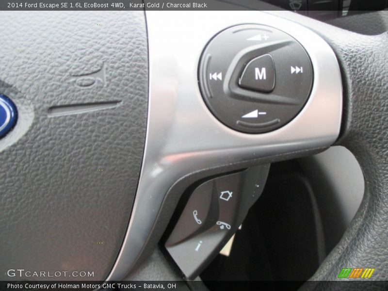 Karat Gold / Charcoal Black 2014 Ford Escape SE 1.6L EcoBoost 4WD