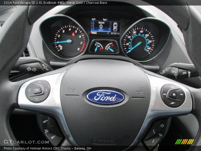 Karat Gold / Charcoal Black 2014 Ford Escape SE 1.6L EcoBoost 4WD