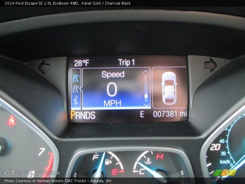 Karat Gold / Charcoal Black 2014 Ford Escape SE 1.6L EcoBoost 4WD