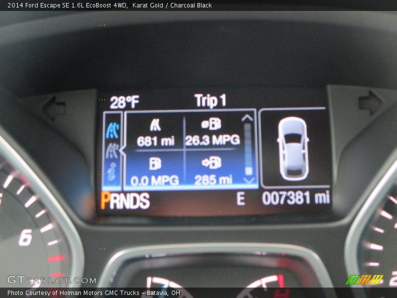 Karat Gold / Charcoal Black 2014 Ford Escape SE 1.6L EcoBoost 4WD