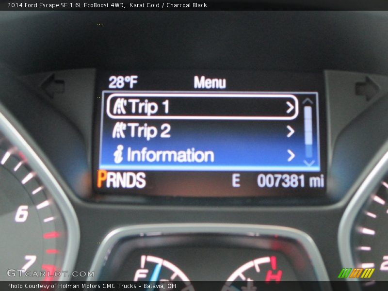 Karat Gold / Charcoal Black 2014 Ford Escape SE 1.6L EcoBoost 4WD