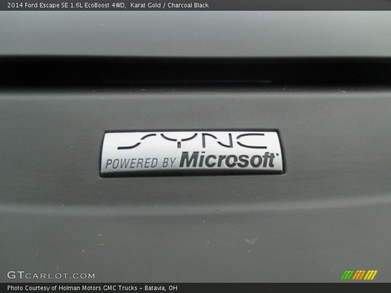 Karat Gold / Charcoal Black 2014 Ford Escape SE 1.6L EcoBoost 4WD