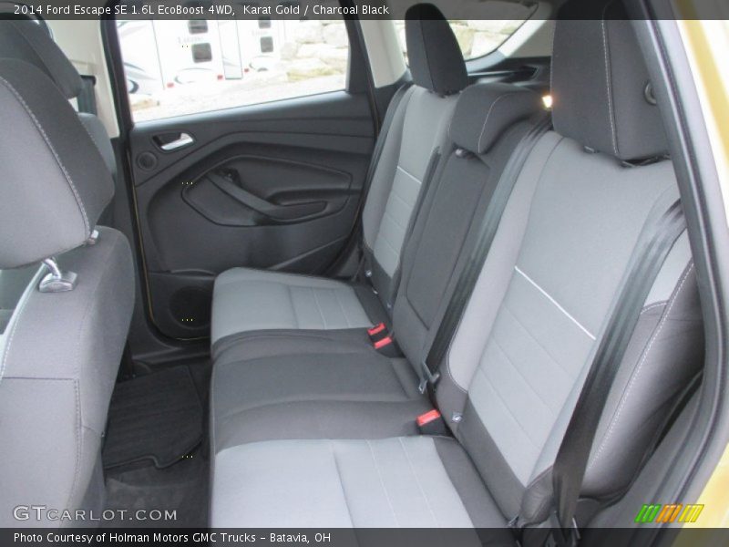 Karat Gold / Charcoal Black 2014 Ford Escape SE 1.6L EcoBoost 4WD