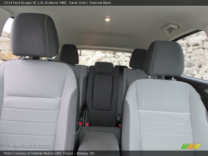 Karat Gold / Charcoal Black 2014 Ford Escape SE 1.6L EcoBoost 4WD