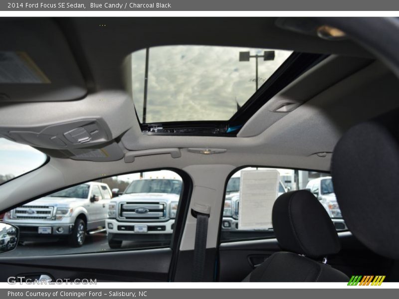 Blue Candy / Charcoal Black 2014 Ford Focus SE Sedan