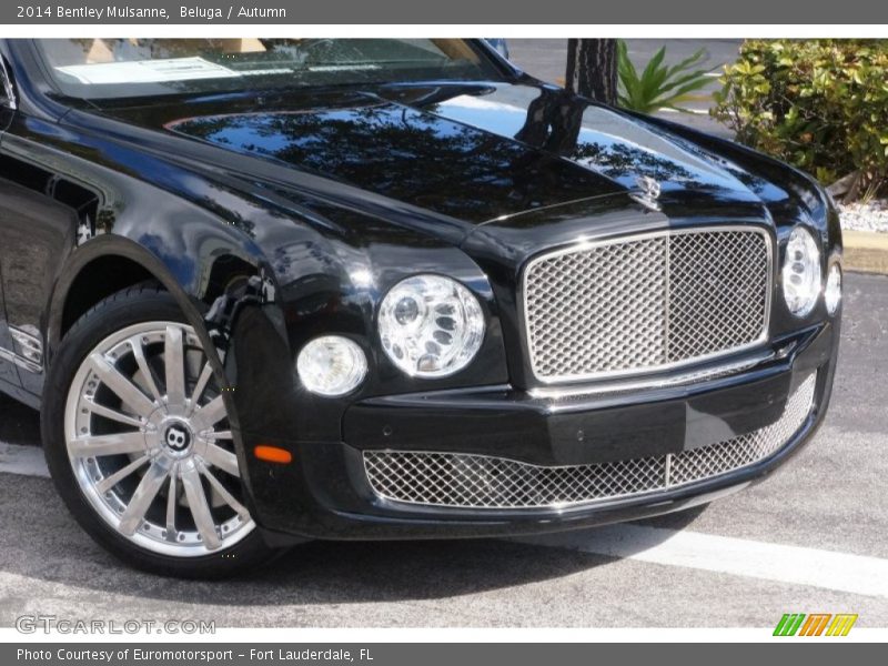 Beluga / Autumn 2014 Bentley Mulsanne
