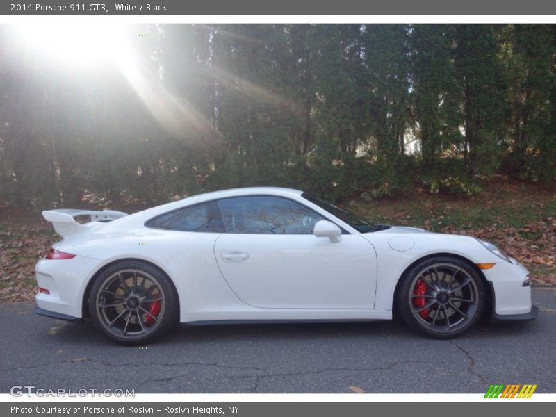 White / Black 2014 Porsche 911 GT3