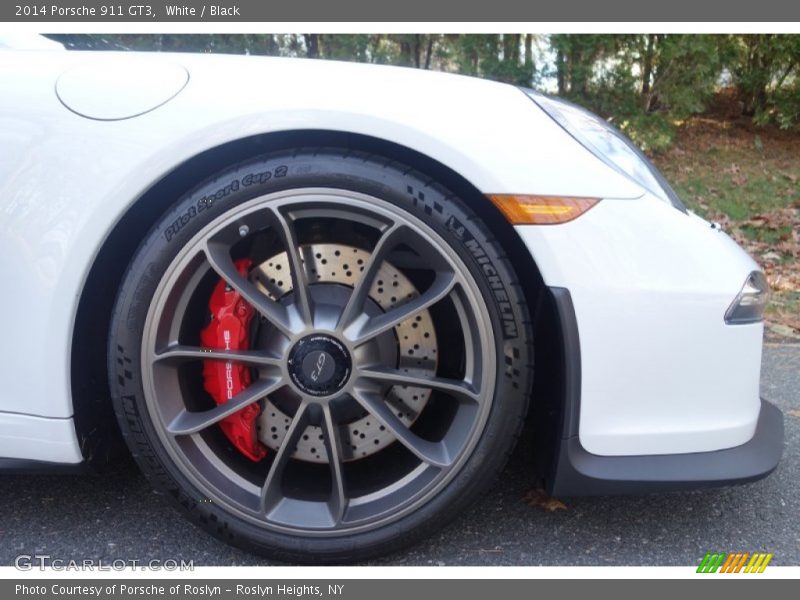  2014 911 GT3 Wheel