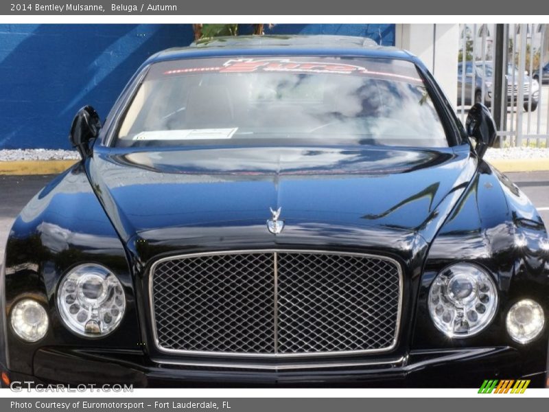 Beluga / Autumn 2014 Bentley Mulsanne