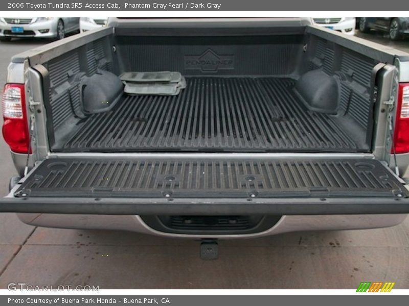 Phantom Gray Pearl / Dark Gray 2006 Toyota Tundra SR5 Access Cab
