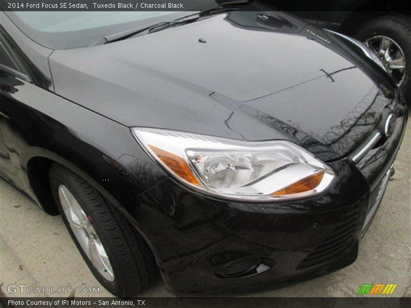 Tuxedo Black / Charcoal Black 2014 Ford Focus SE Sedan