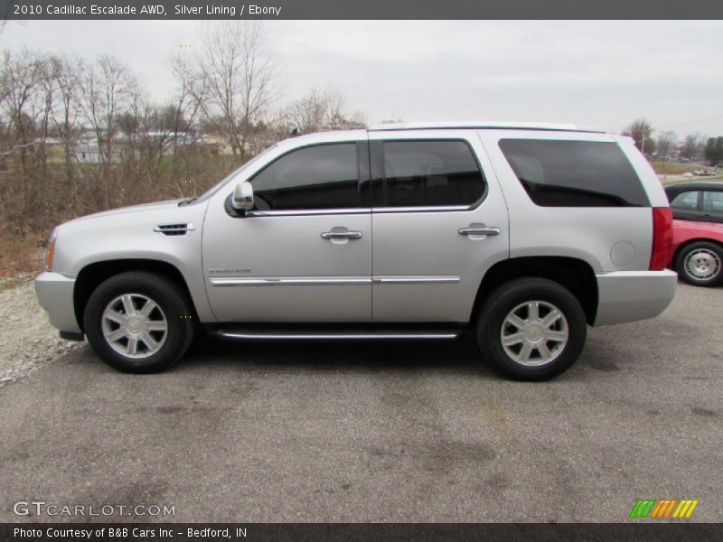 Silver Lining / Ebony 2010 Cadillac Escalade AWD