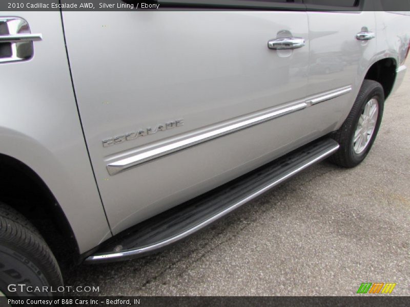 Silver Lining / Ebony 2010 Cadillac Escalade AWD
