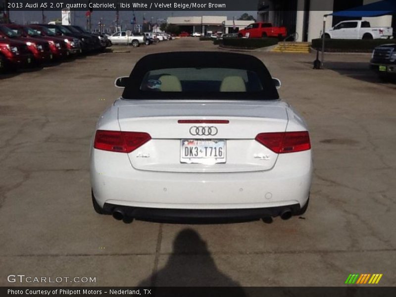 Ibis White / Velvet Beige/Moor Brown 2013 Audi A5 2.0T quattro Cabriolet