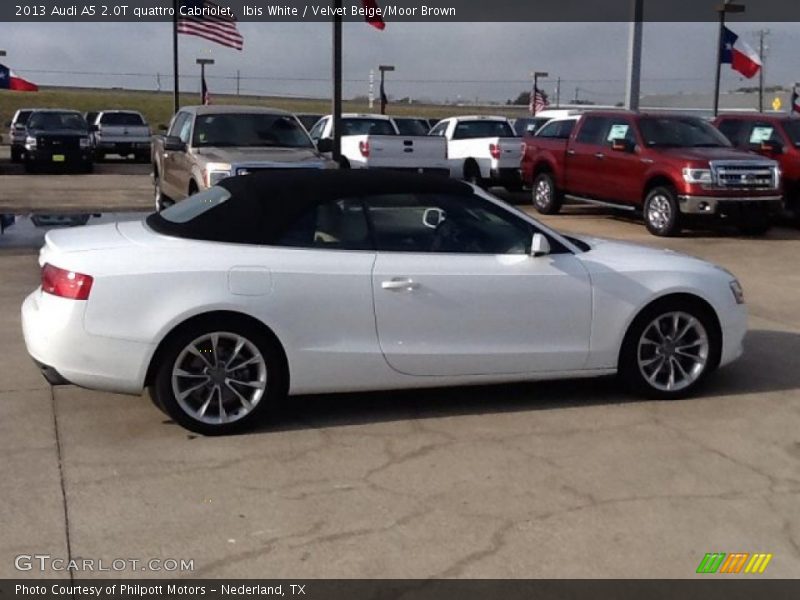 Ibis White / Velvet Beige/Moor Brown 2013 Audi A5 2.0T quattro Cabriolet