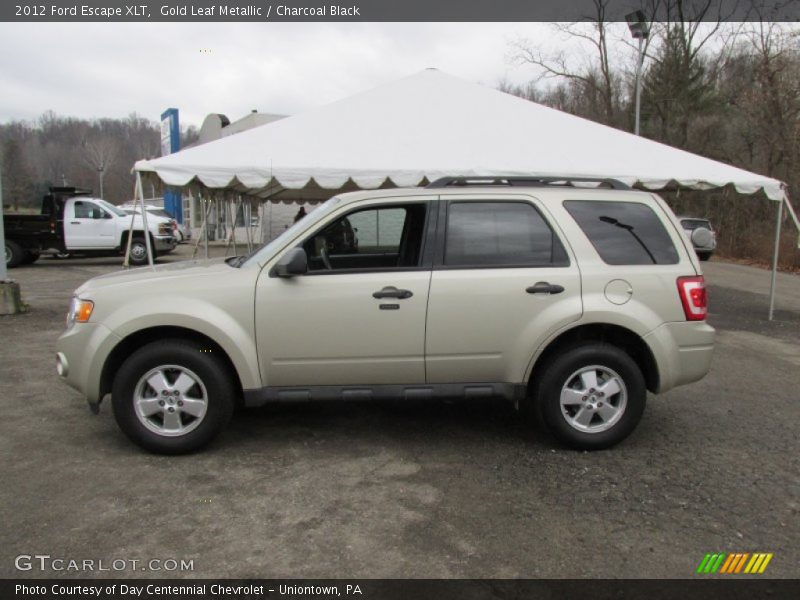 Gold Leaf Metallic / Charcoal Black 2012 Ford Escape XLT