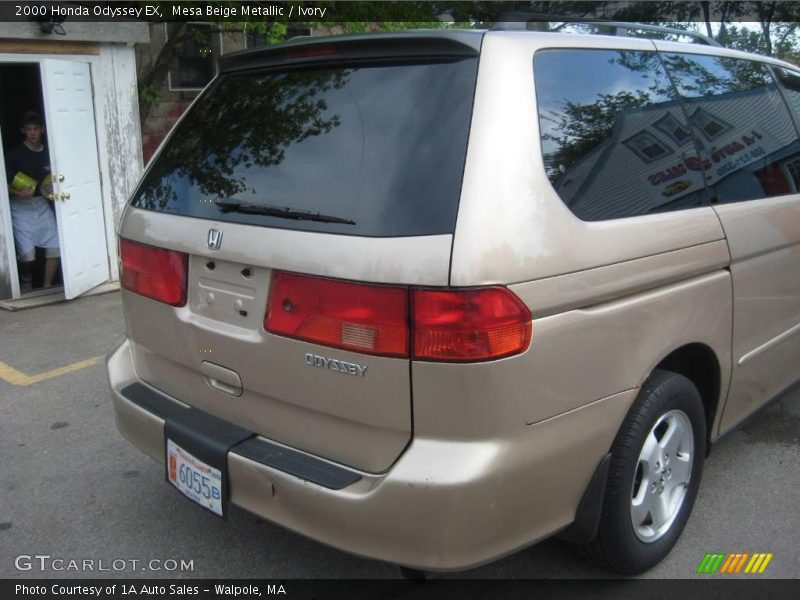 Mesa Beige Metallic / Ivory 2000 Honda Odyssey EX