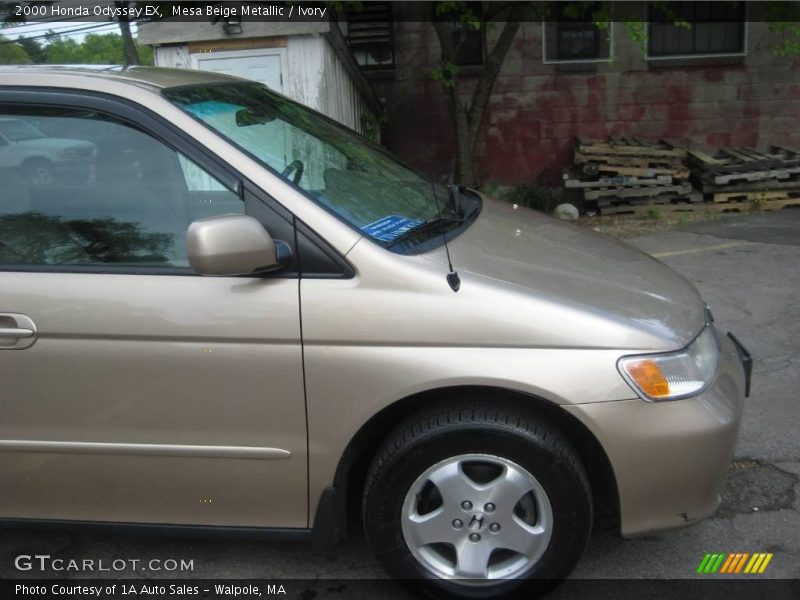 Mesa Beige Metallic / Ivory 2000 Honda Odyssey EX