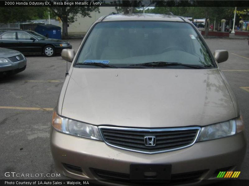 Mesa Beige Metallic / Ivory 2000 Honda Odyssey EX
