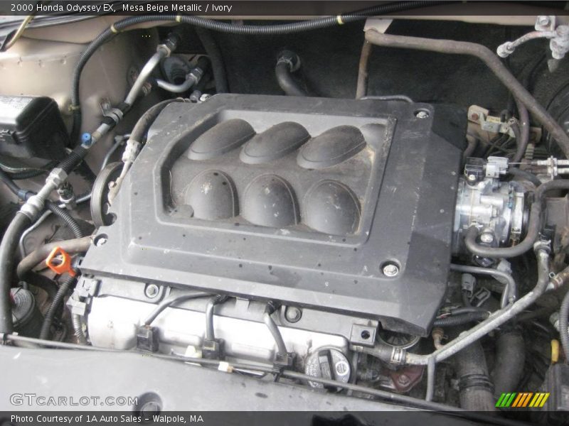 Mesa Beige Metallic / Ivory 2000 Honda Odyssey EX