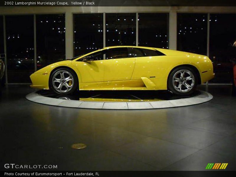 Yellow / Black 2002 Lamborghini Murcielago Coupe