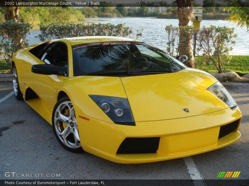 Yellow / Black 2002 Lamborghini Murcielago Coupe