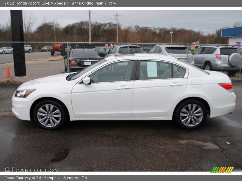 White Orchid Pearl / Ivory 2012 Honda Accord EX-L V6 Sedan