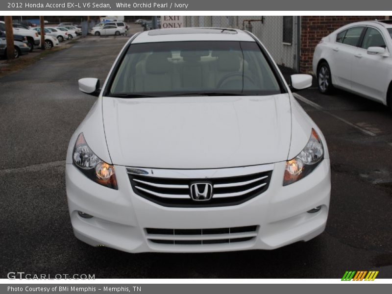 White Orchid Pearl / Ivory 2012 Honda Accord EX-L V6 Sedan