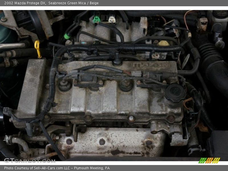Seabreeze Green Mica / Beige 2002 Mazda Protege DX