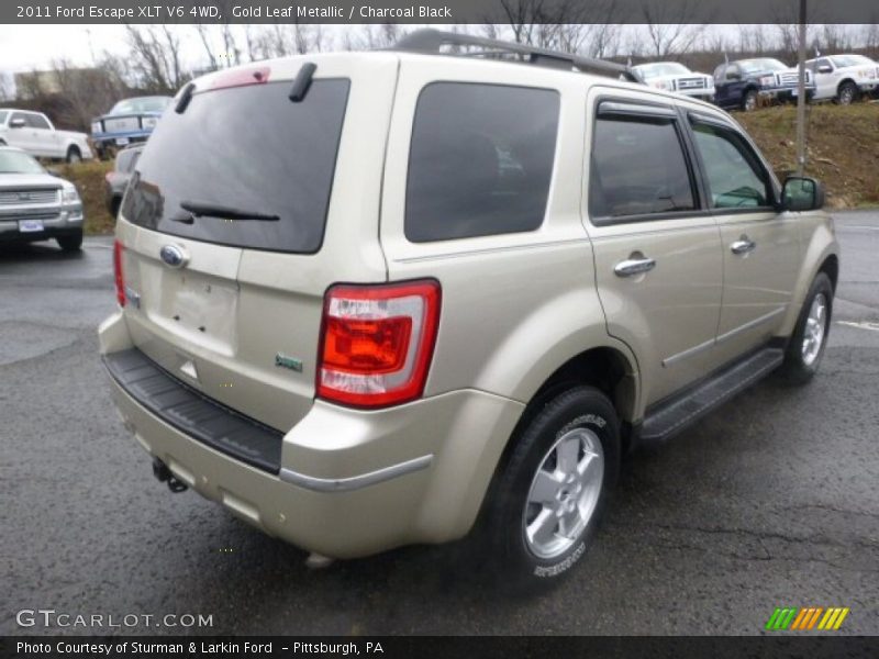 Gold Leaf Metallic / Charcoal Black 2011 Ford Escape XLT V6 4WD