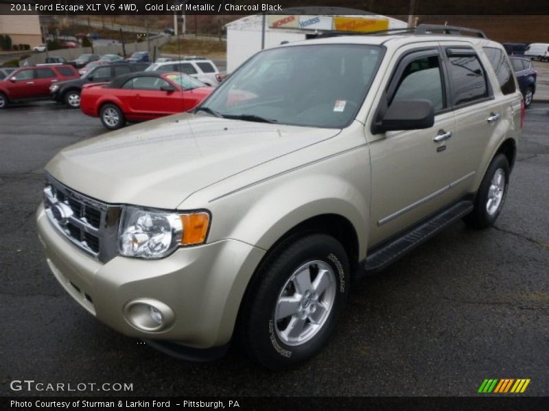 Gold Leaf Metallic / Charcoal Black 2011 Ford Escape XLT V6 4WD