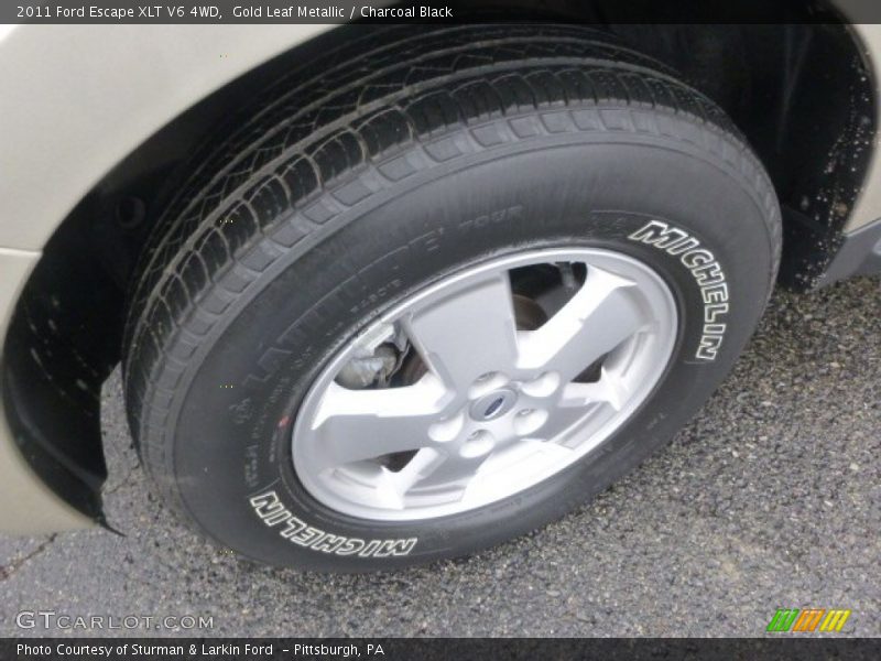 Gold Leaf Metallic / Charcoal Black 2011 Ford Escape XLT V6 4WD