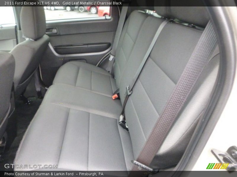 Gold Leaf Metallic / Charcoal Black 2011 Ford Escape XLT V6 4WD